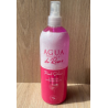 AGUA DE ROSAS 500ml