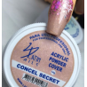CONCEL SECRET 14G