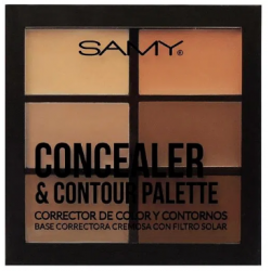 PALETA DE CORRECTORES Y...